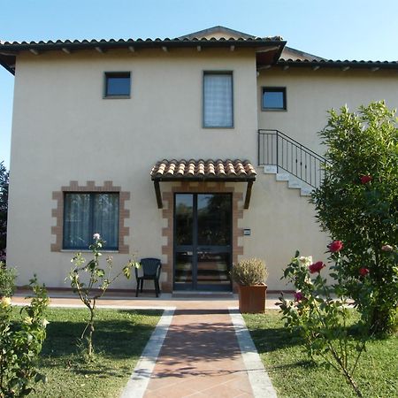 Agriturismo Poggio Alle Calle 萨杜勒尼亚 外观 照片