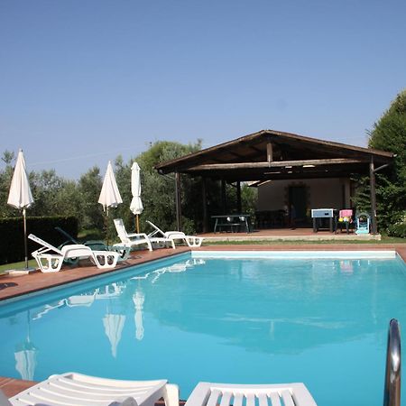 Agriturismo Poggio Alle Calle 萨杜勒尼亚 外观 照片
