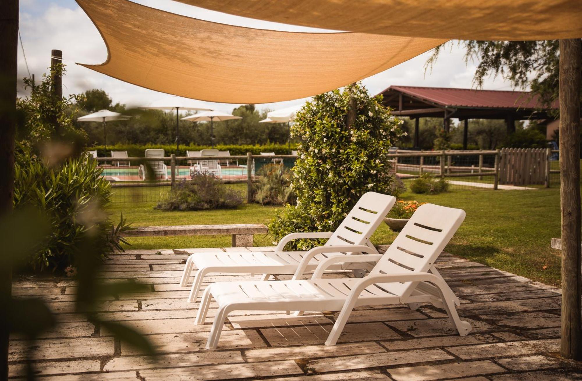 Agriturismo Poggio Alle Calle 萨杜勒尼亚 外观 照片