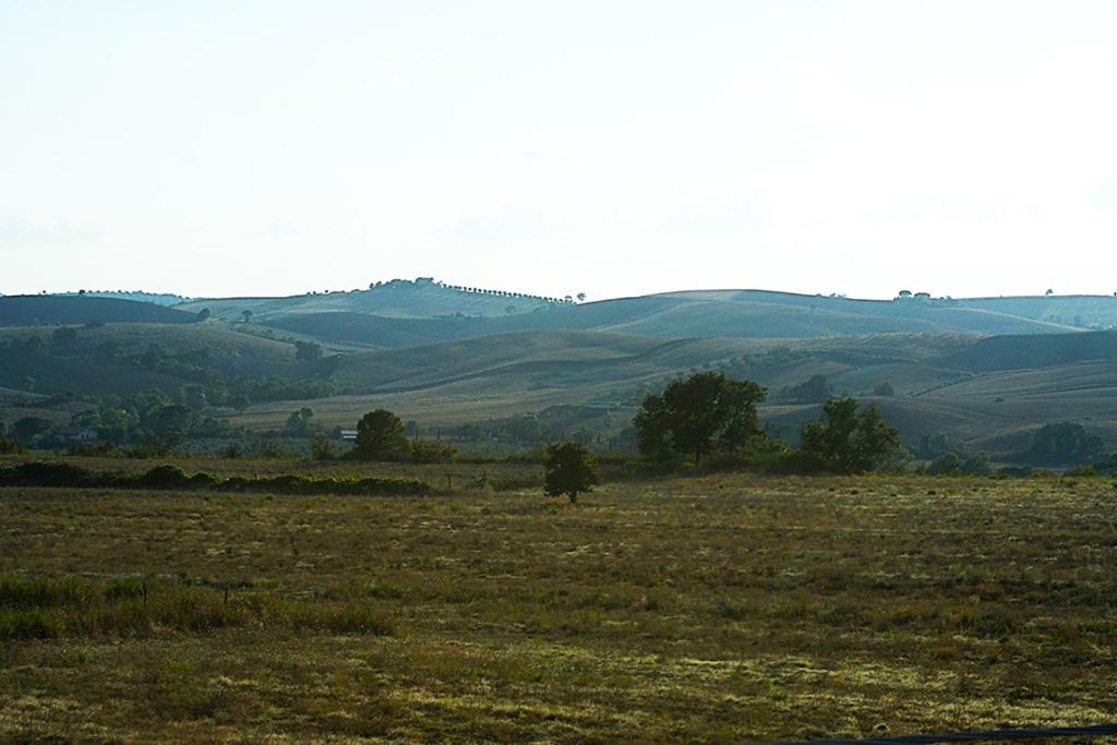 Agriturismo Poggio Alle Calle 萨杜勒尼亚 外观 照片