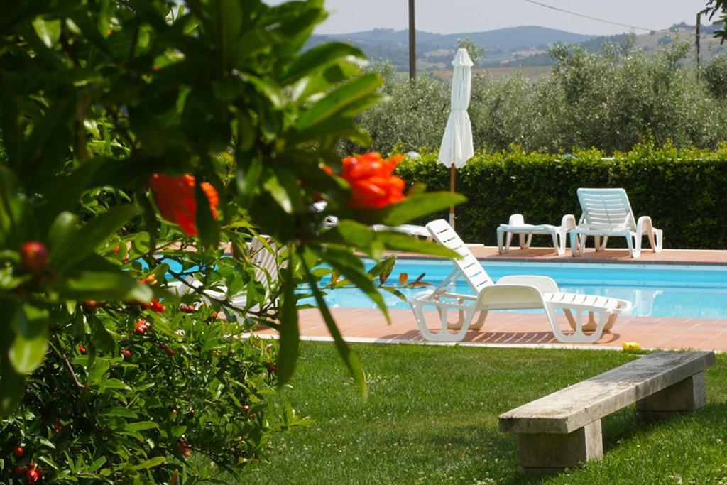 Agriturismo Poggio Alle Calle 萨杜勒尼亚 外观 照片