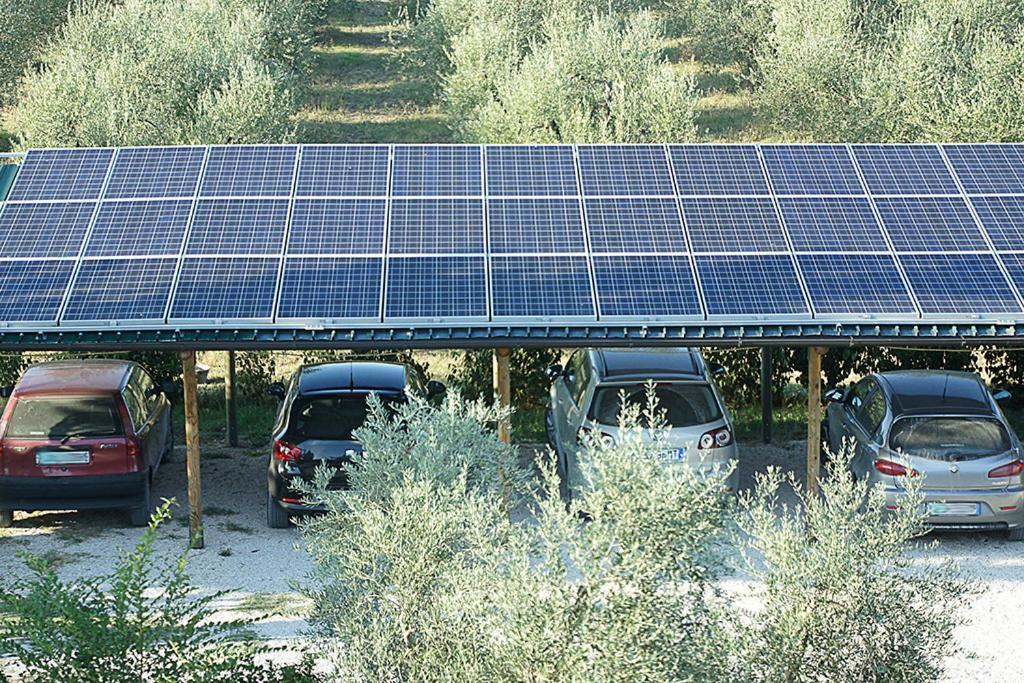 Agriturismo Poggio Alle Calle 萨杜勒尼亚 外观 照片