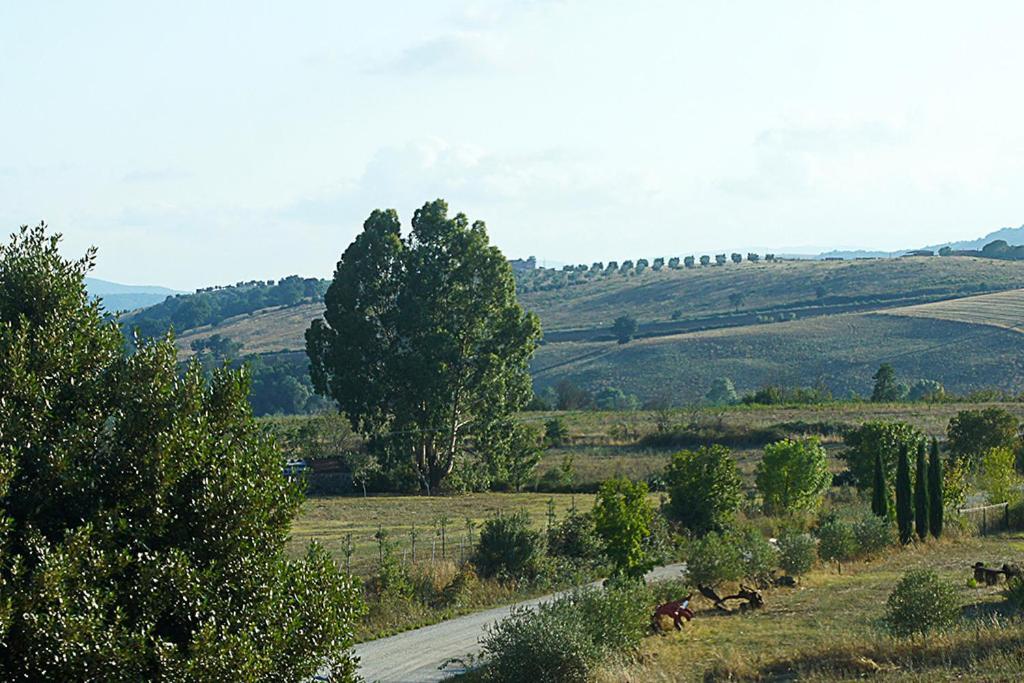 Agriturismo Poggio Alle Calle 萨杜勒尼亚 外观 照片
